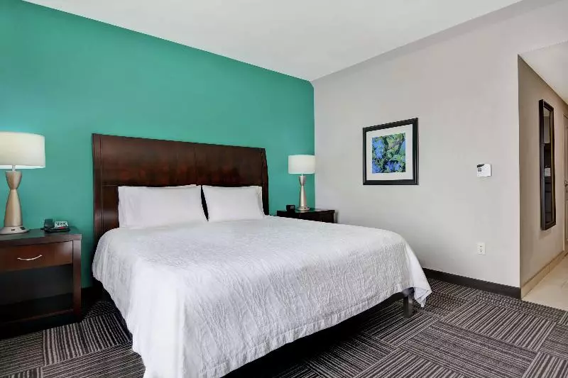 Sviitti King-vuode, Hilton Garden Inn Fayettevile