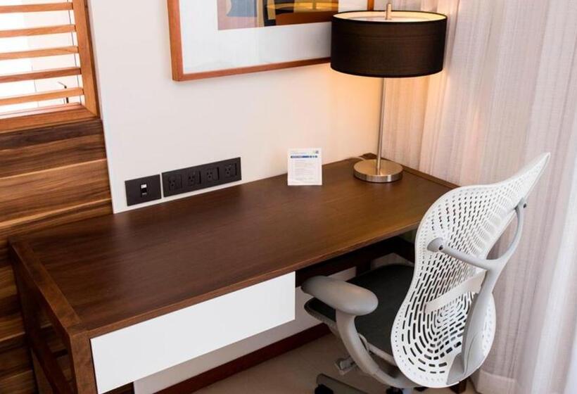 جناح إدارى سرير كينج, Holiday Inn Express Puerto Vallarta, An Ihg