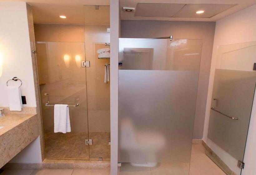 جناح إدارى سرير كينج, Holiday Inn Express Puerto Vallarta, An Ihg