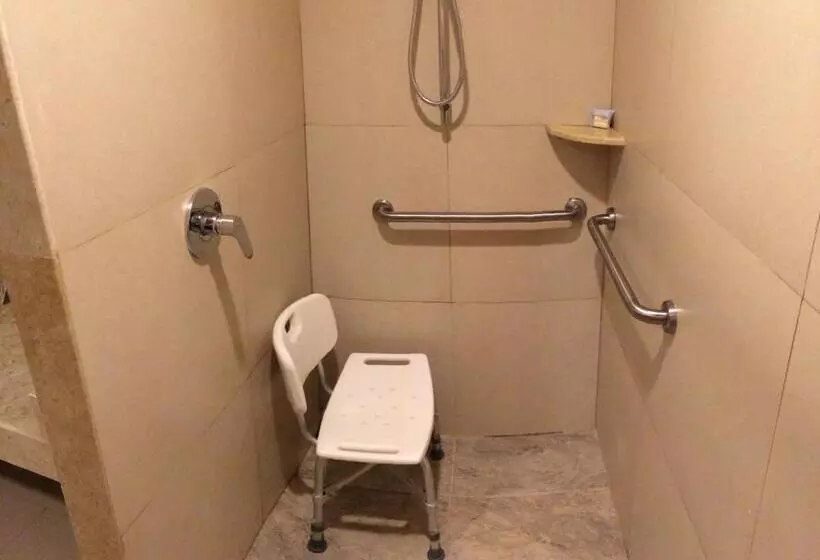 身障者適用キングサイズベッドルーム, Holiday Inn Express Puerto Vallarta, An Ihg