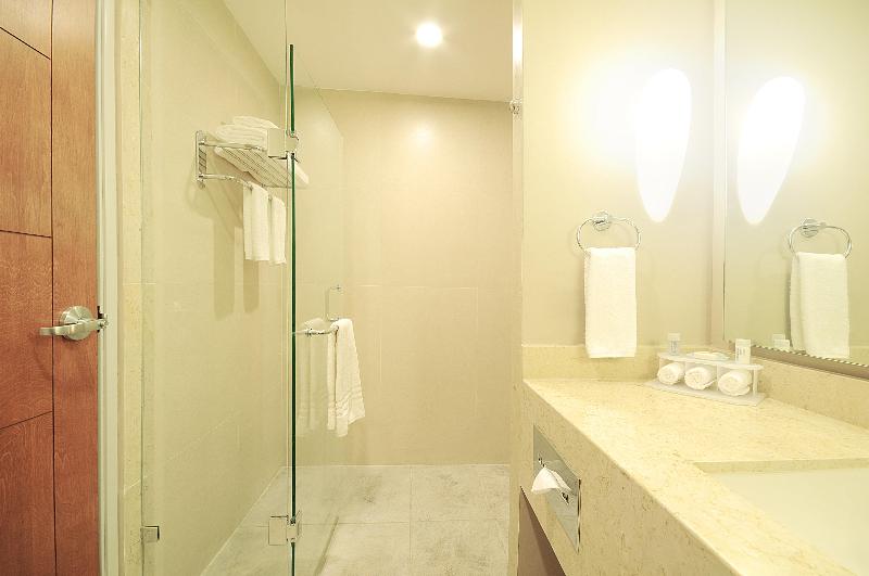 חדר סטנדרט עם מיטת קינג, Holiday Inn Express Puerto Vallarta, An Ihg