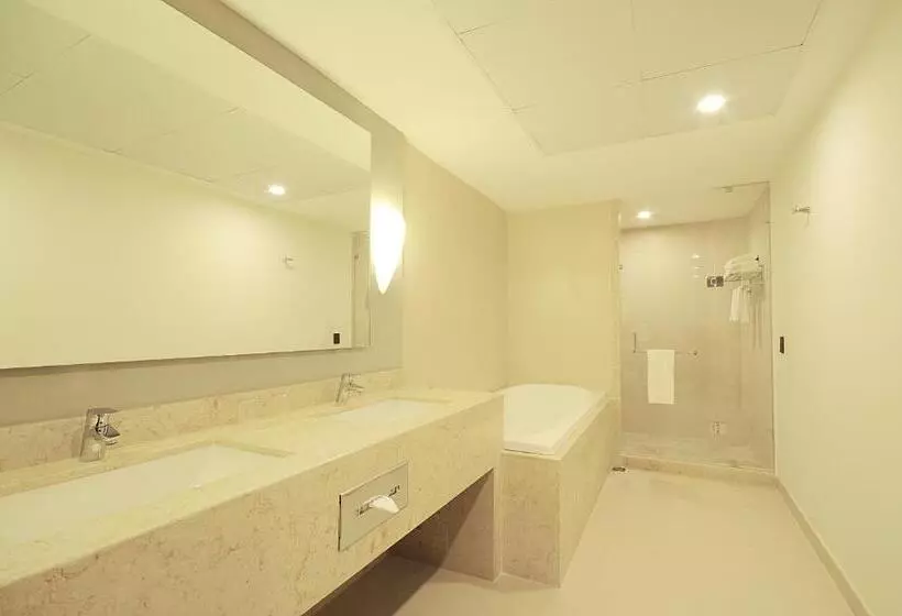 キングサイズベッドのエクゼクティブ, Holiday Inn Express Puerto Vallarta, An Ihg