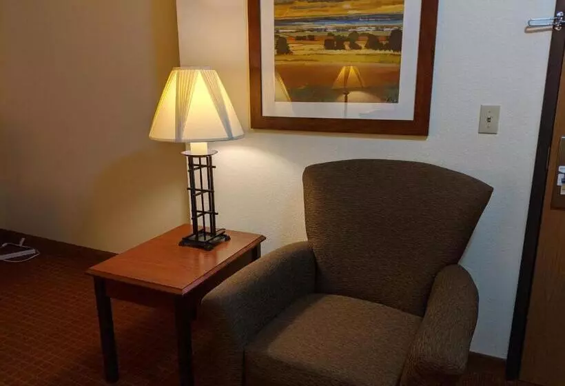 Standard-huone, Park View Inn & Suites