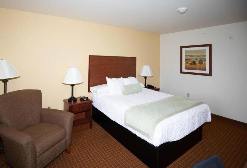 غرفة قياسية, Park View Inn & Suites