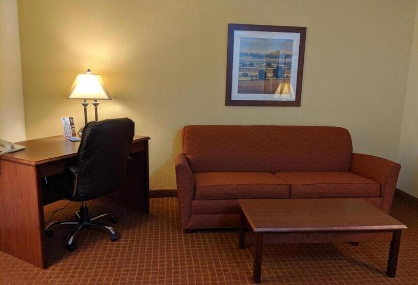 جناح سرير كينج, Park View Inn & Suites