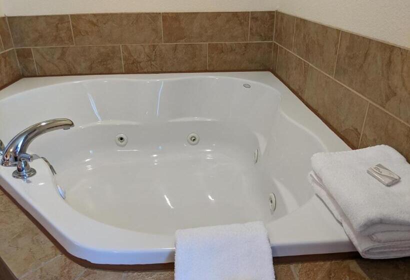 جناح ديلوكس سرير كينج, Park View Inn & Suites