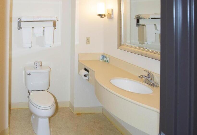Люкс Deluxe Кровать Кинг, Park View Inn & Suites