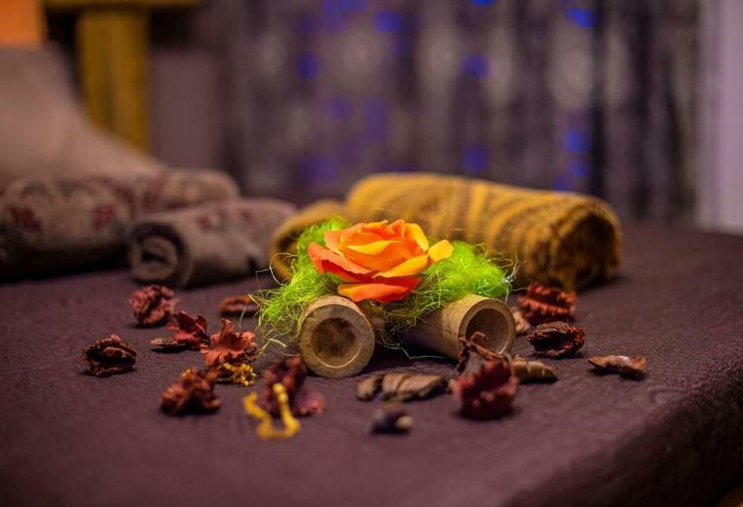 Pokój Standard, Bnb Cheope