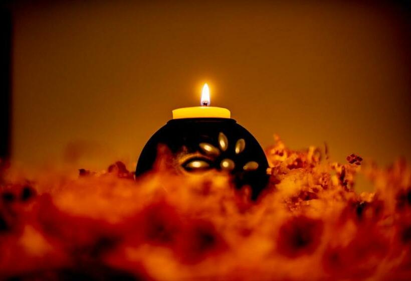 Pokój Standard, Bnb Cheope