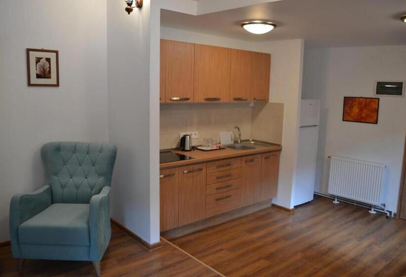 شقة غرفة واحدة مطلة على الحديقة, Casa Fanarilor