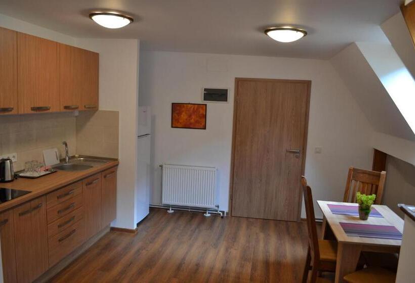 شقة غرفة واحدة مطلة على الحديقة, Casa Fanarilor