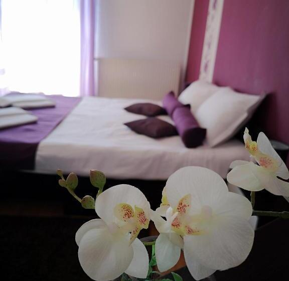 شقة غرفة واحدة, Casa Mais