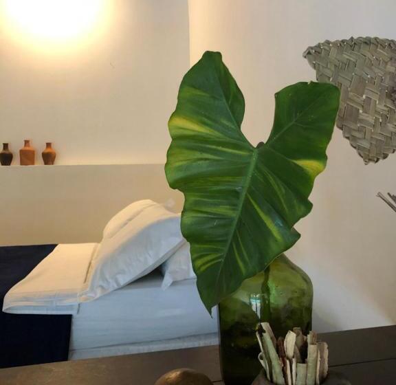 غرفة قياسية, Kûara Pipa