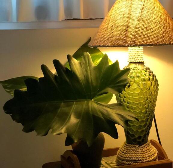 غرفة ديلوكس, Kûara Pipa