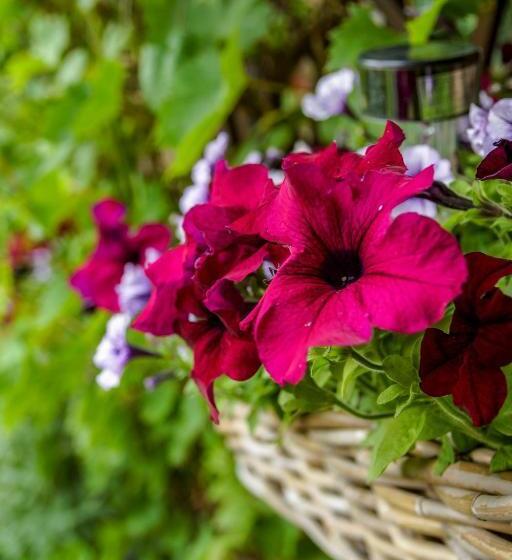 Семейный Номер, Pension Wielsch