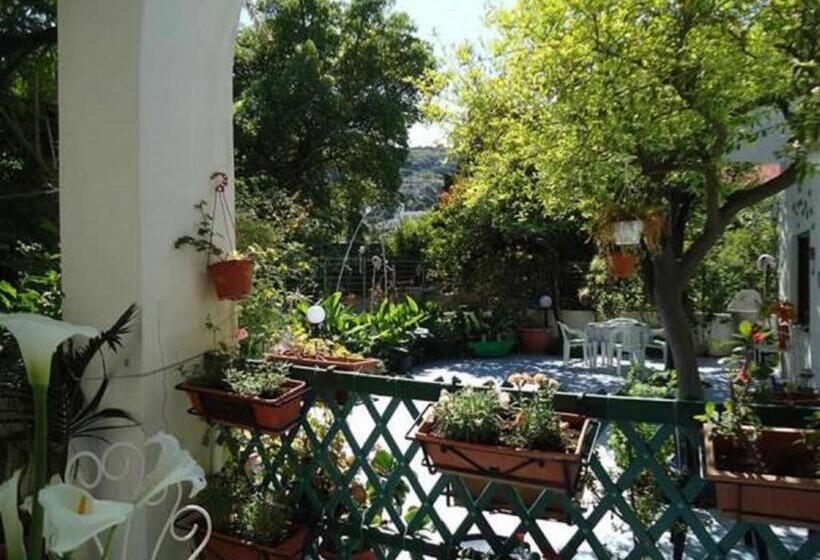 スタンダードトリプルルーム, B&b Albatros