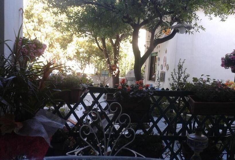 スタンダードトリプルルーム, B&b Albatros