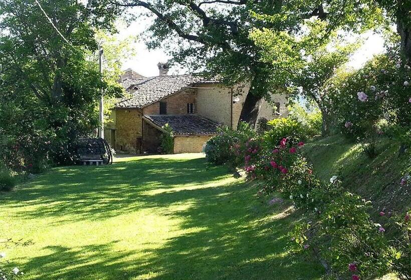 דירת חדר, B&b I Canonici