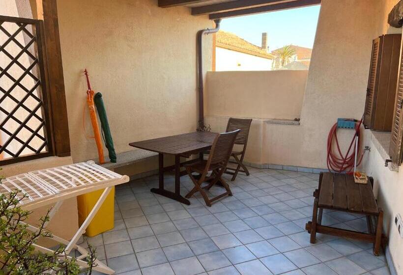 דירת חדר עם טרסה, Tiffany Palau