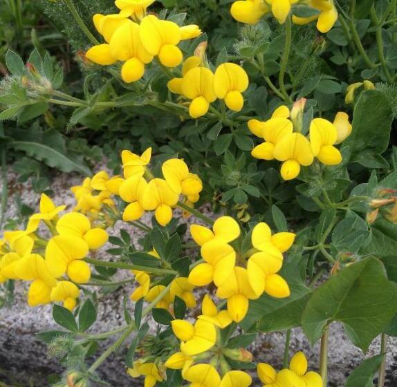 高级大房间, Agriturismo Il Melo