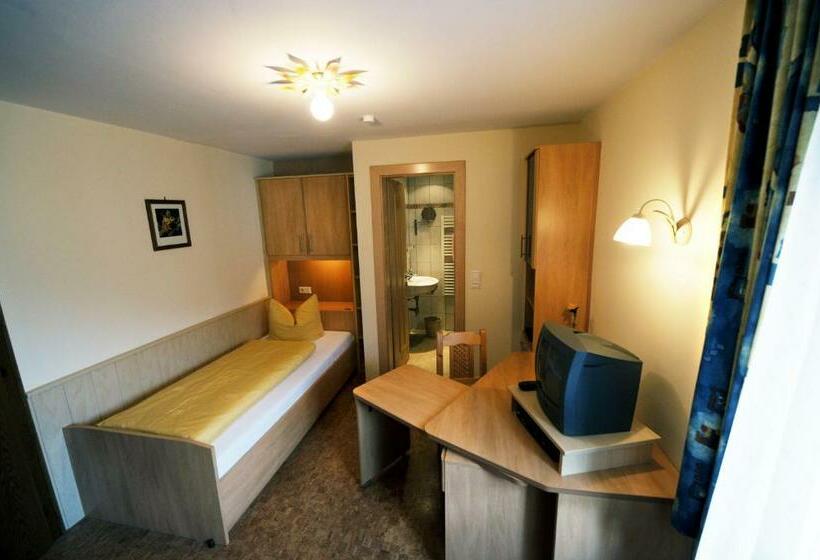 חדר סטנדרט יחיד, Garni Landhaus Platzer