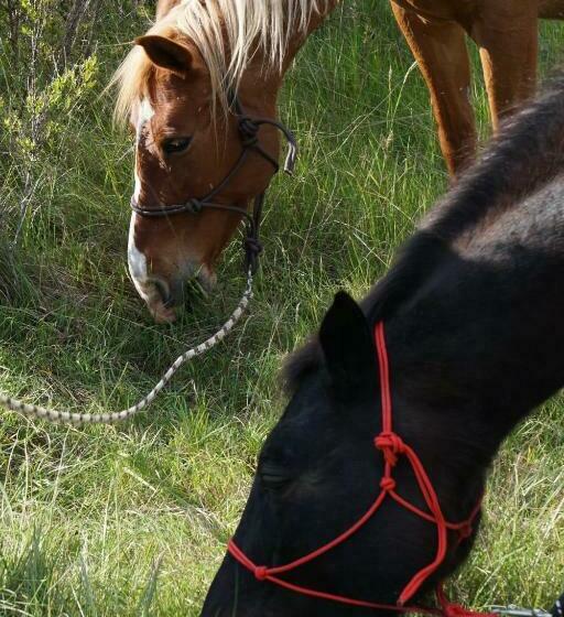 Дом 2 Спальни, Terres De Barréjat