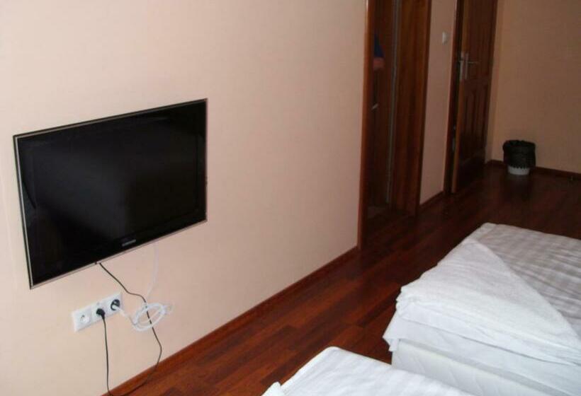 シングルデラックスルーム, Guest House Mladosť