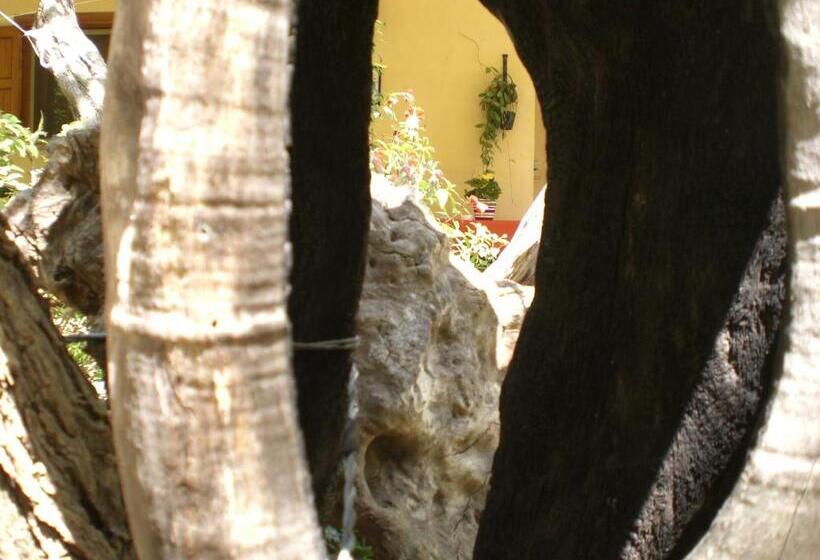 اتاق استاندارد چهارنفره با بالکن, B&b Villa Calagioli