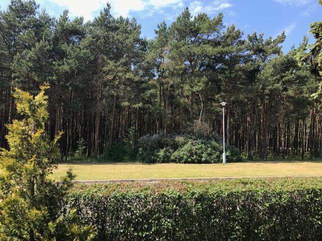 اتاق استاندارد, Vila Medus