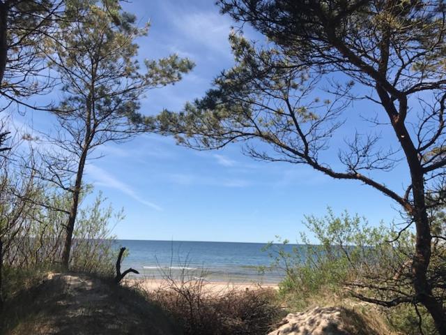 اتاق استاندارد, Vila Medus