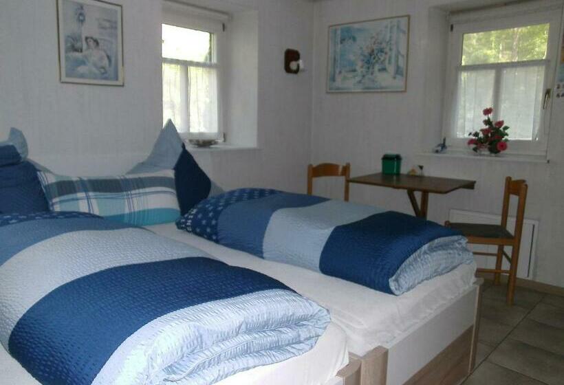 דירת חדר, Pension & Apartments Linkemühle