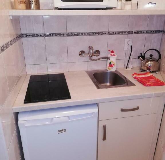 标准间带露台, Pension U Lašanů