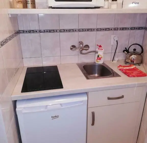 Standard-huone Terassi, Pension U Lašanů