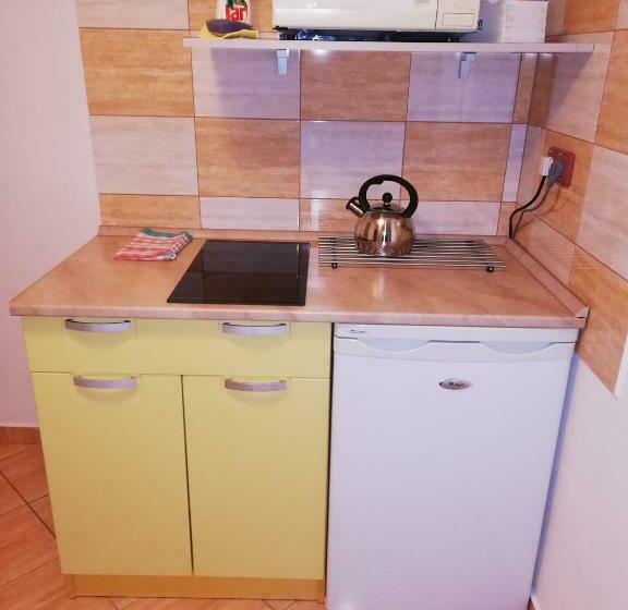 带1个卧室的带阳台的公寓, Pension U Lašanů