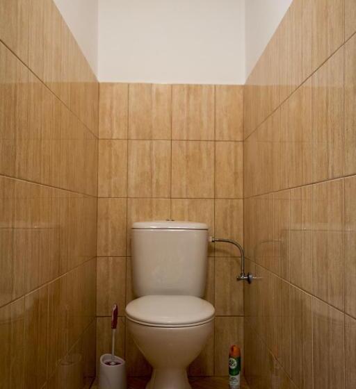 带露台的标准房间, Pension U Lašanů