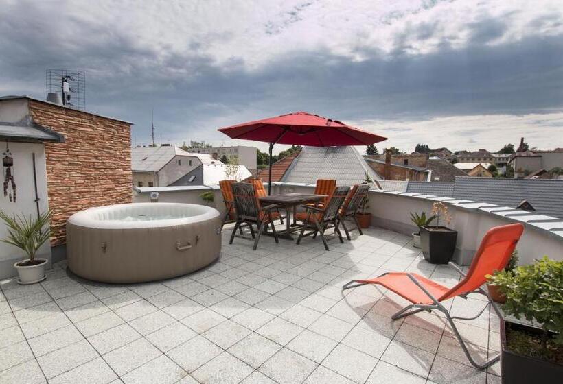 带露台的标准房间, Pension U Lašanů