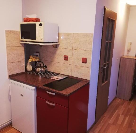 带露台的标准房间, Pension U Lašanů