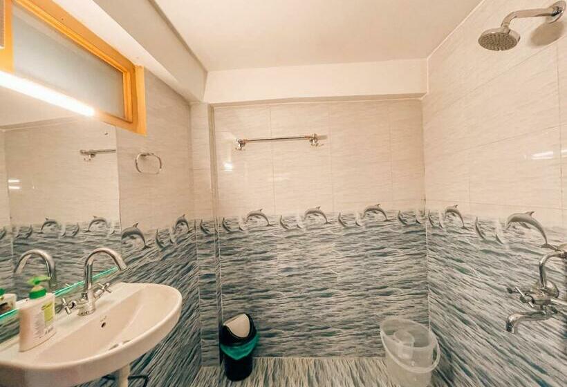 غرفة قياسية سرير كينج, Madpackers Jibhi   Of Streamsides & Waterfalls