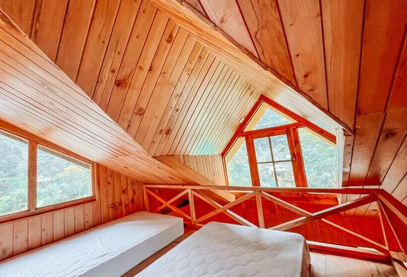 غرفة قياسية سرير كينج, Madpackers Jibhi   Of Streamsides & Waterfalls