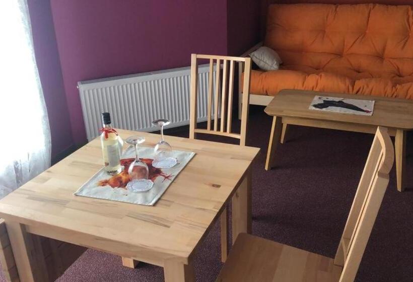 Appartement 1 Chambre avec Vues, дбайлива ципа