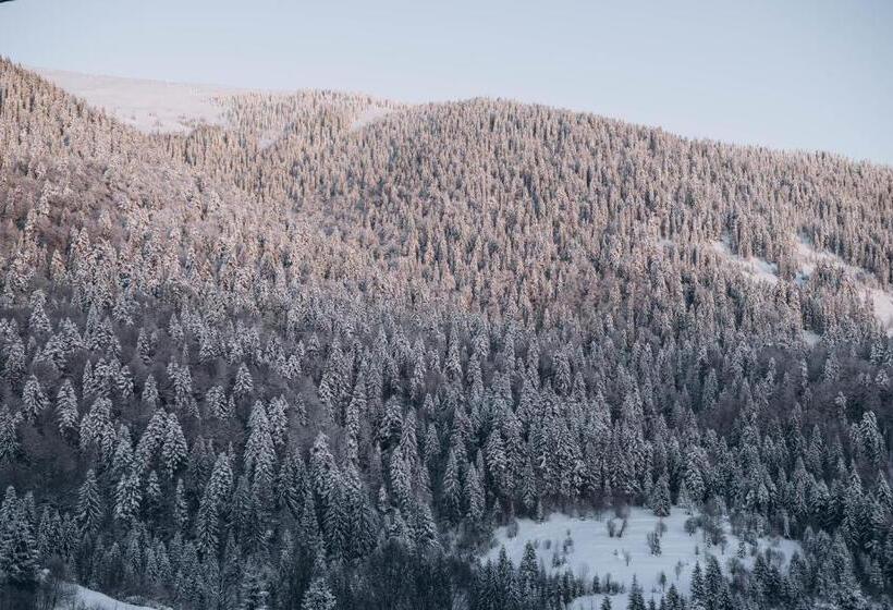 1 Sovrums Lägenhet med Utsikt, дбайлива ципа