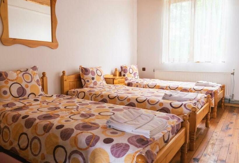 スタンダードトリプルルーム, гюмюрджински снежник