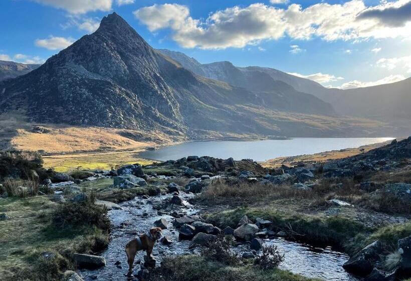 山の見えるスーペリアルーム, Bryn Tyrch Rooms