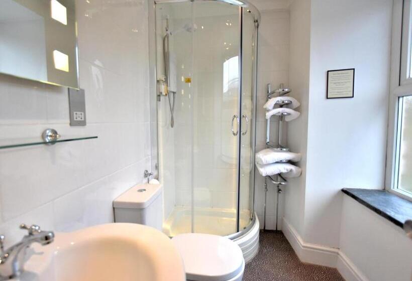 マウンテンビュースタンダードルーム, Bryn Tyrch Rooms