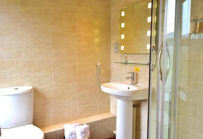 マウンテンビュースタンダードルーム, Bryn Tyrch Rooms