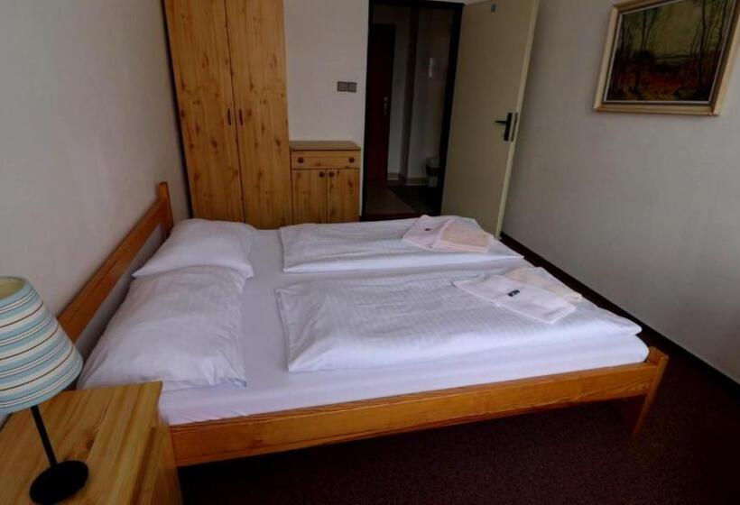 اتاق استاندارد, Horský Hotel Neptun