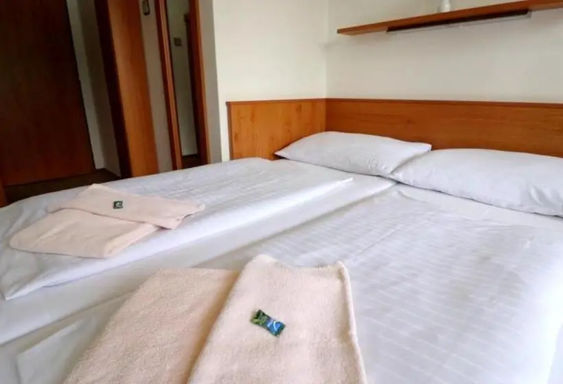 スタンダードルーム, Horský Hotel Neptun