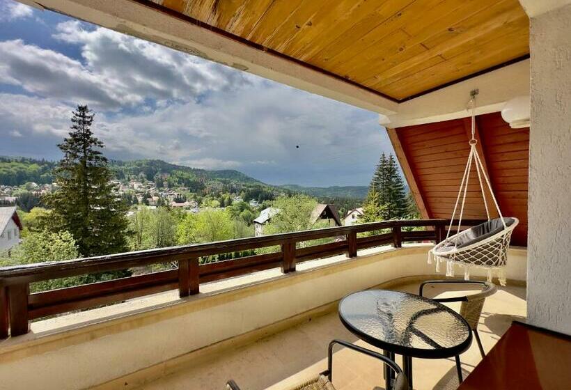 带阳台的豪华间, Pensiunea Constanta