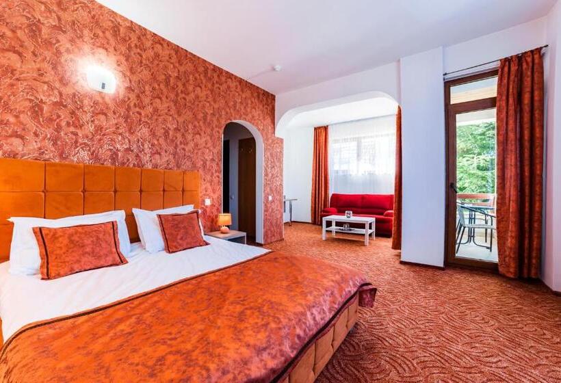 带大床的高级房间, Pensiunea Constanta