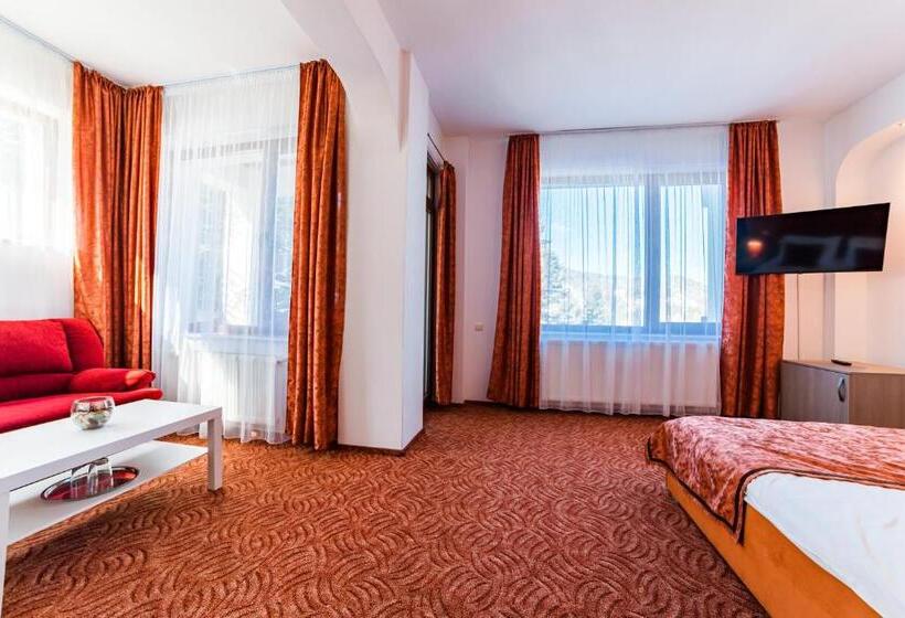 带大床的高级房间, Pensiunea Constanta